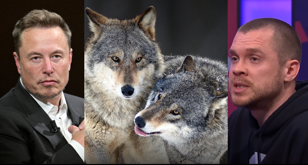 'Tax the rich' or 'immigrants are the problem'? Which wolf wins? The one the billionaires feed.